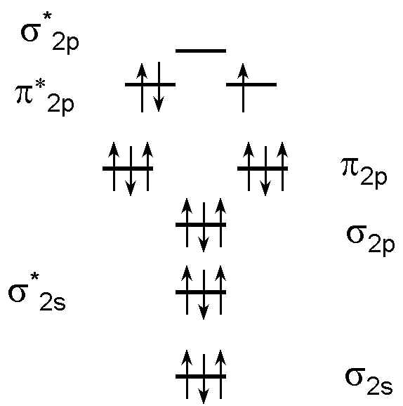 wpe19D.jpg (20850 bytes)