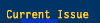 Current Issues