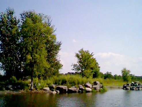 deslak4.jpg (82491 bytes)
